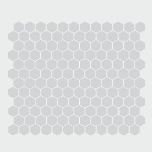 HEXAGON MIC